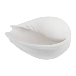 Adorno Conch concha, Small