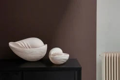 Adorno Conch concha, Small