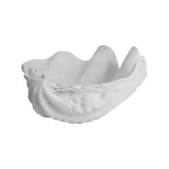 Adorno Shell, Small