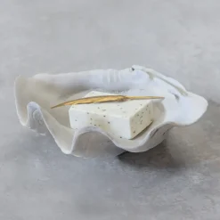 Adorno Shell, Small
