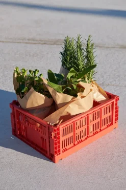 Cesta Colour Crate M 26,5x34,5 cm, Red