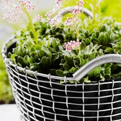 Cesta de alambre Korbo Classic 50, acero galvanizado