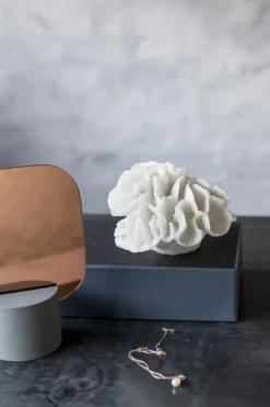Decoración Coral gills, White