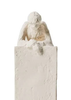 Escultura Astro, Acuario