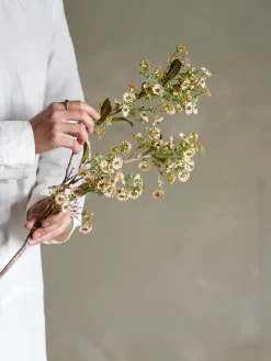 Flor de cera Stem, Blanco