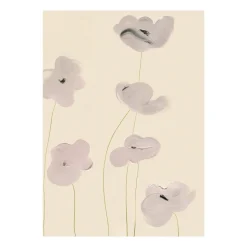 Lámina White Vallmo, 30x40 cm