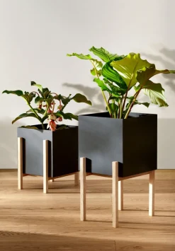 Maceta Botanic pedestal, negro-fresno