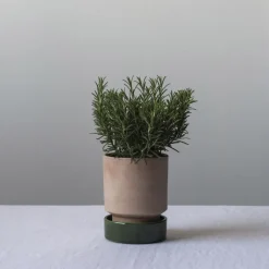 Maceta Hoff, Ø14 cm, Raw Rosa-Emerald Green