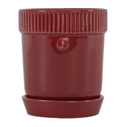 Maceta para especias Elise Ø11 cm, Burdeos
