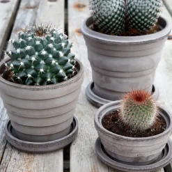 Maceta Planet Saturn Ø16 cm, gris