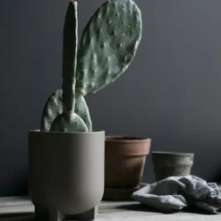 Maceta Plus Ø16 cm, Dust