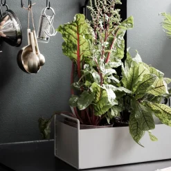 Macetero Plant Box S, gris claro