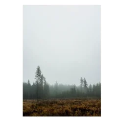 Póster Skog, 70 x 100 cm