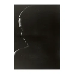 Póster The Silhouette, 30x40 cm