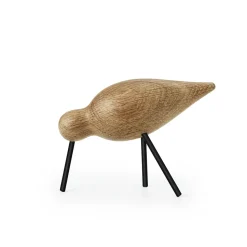 Shorebird, roble-negro, mediano