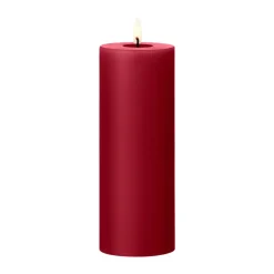 Vela LED ester & erik, 36 Winter Berry, 20 cm